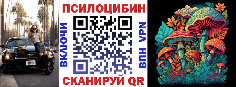shop клад  продажа наркотиков  Ряжск  Псилоцибиновые грибы мицелий 